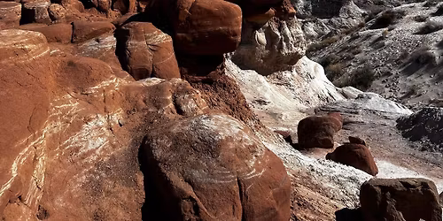 Oracle & Tarot Card Group Read