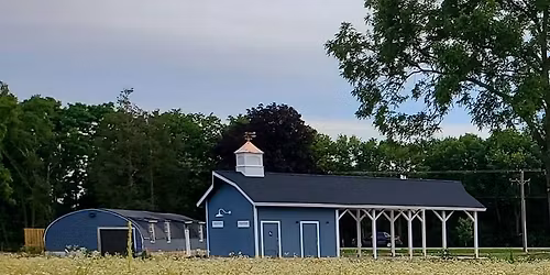 Peaceful Prairie Walk 