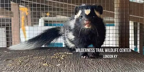 Boone Co. Public Library Wildlife Presentation