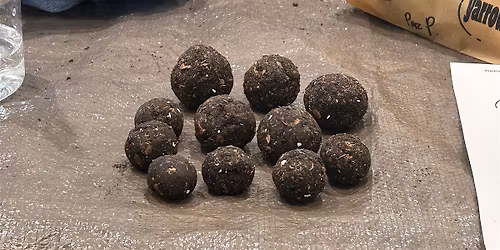 Small Things: Seed Ball Workshop with Eunice Luk