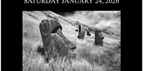 Bright Sunshine Bigshot Allstar Undertow 