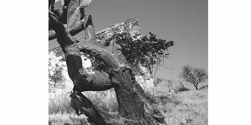 "Quem S\u00e3o os Invis\u00edveis do Algarve?", por Rui Ara\u00fajo, Cristiana Bastos e Rog\u00e9rio Copeto