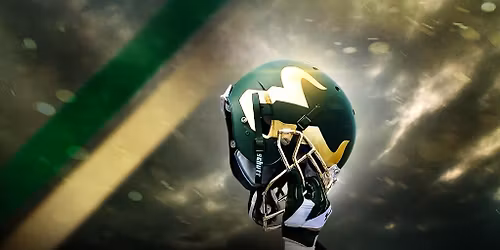 South Florida Bulls Football vs. Delaware State Hornets Football