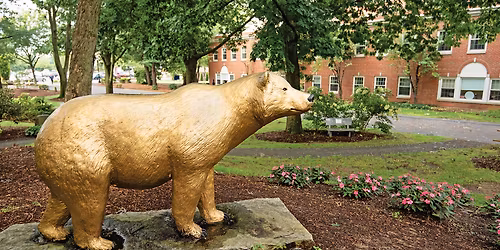 Parking St. Lawrence Saints at Brown Bears Mens Hockey