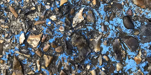 Wild About Whitstable - Drawing nature art workshop for all ages