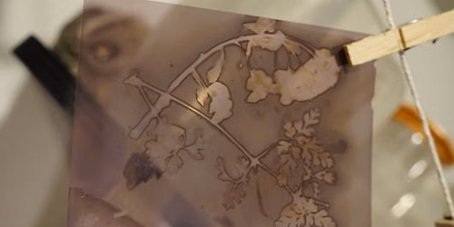 Phytogram & Chemigram: Painting with Chemistry