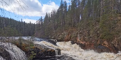 Avasta kevadine Karurada