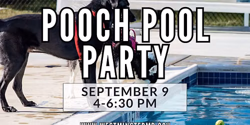 Pooch Pool Party