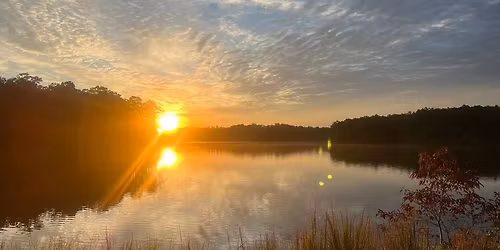 Sports Cards, Collectibles and Political Signed Items