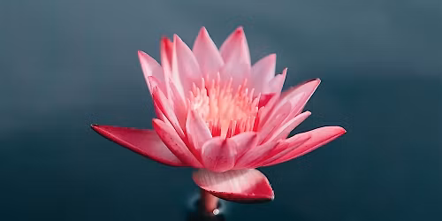 Nonduality and Meditation II [Winter]