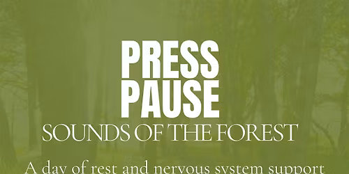 Press Pause | Sounds of the Forest Retreat