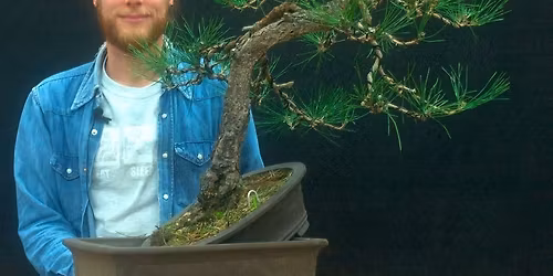 Redlands Bonsai November 2025