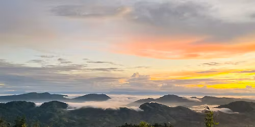 \u09a4\u09be\u09b0\u09be\u09b0 \u09b9\u09be\u099f \u09ac\u0997\u09be\u09b2\u09c7\u0995 - \u0995\u09c7\u0993\u0995\u09cd\u09b0\u09be\u09a1\u0982 \u09b0\u09bf\u09b2\u09cd\u09af\u09be\u0995\u09cd\u09b8 \u099f\u09cd\u09af\u09c1\u09b0\u09c7 \u099f\u09bf\u09ae-The Tour Bees\ud83d\udc1d(\u09e9)