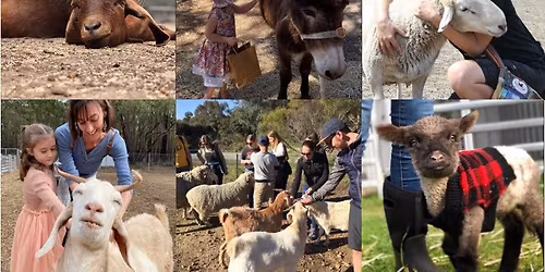 Possum Valley Animal Sanctuary Tour