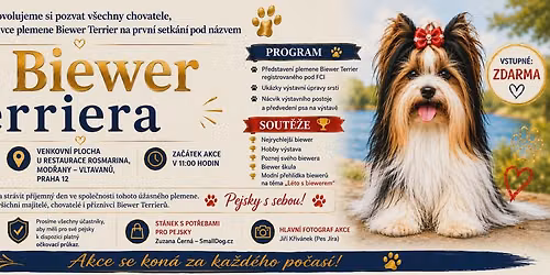 Den Biewer terriera