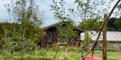 Open dagen Boomgaard\/Kwekerij Paleis Soestdijk