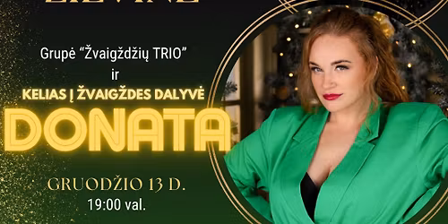 Kalėdinis vakarėlis Žilvine 