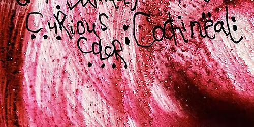 Curious Color: Cochineal