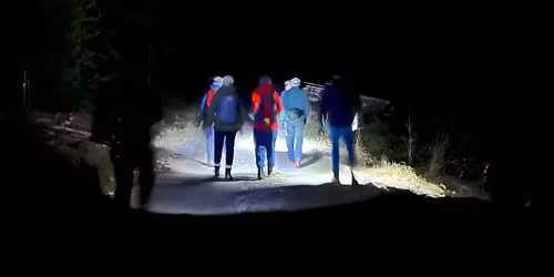 Hodelykttur til Ringdalskoia