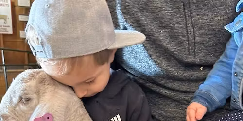 Kelley\u2019s Farmstead Baby Animal Barn 