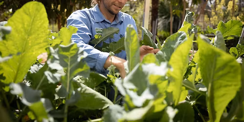 Introduction to organic gardening