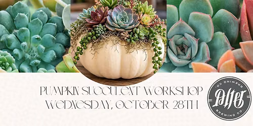 Pumpkin Succulent Workshop