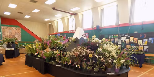 Taranaki Orchid Summer Show 2026