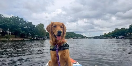Paddle Boarding with the Pups! \ud83c\udf0a