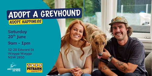 Greyhound Dog Adoption Day at Petbarn Wagga Wagga