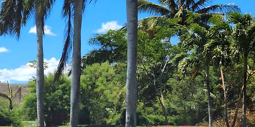 HIJCI Recognition Banquet