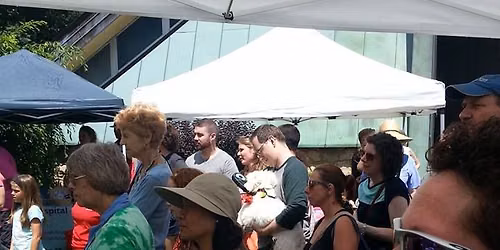 Roslyn Pet Fair-20 year Anniversary