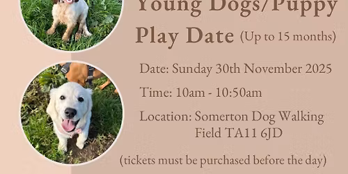 Puppy & Young Dogs Play Date - Somerton Dog Walking Field *tickets required*