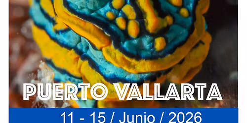 Puerto Vallarta 6 - 26