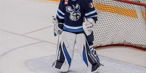 Manitoba Moose