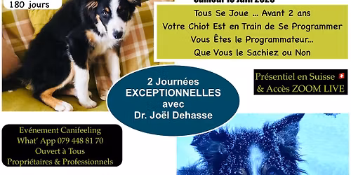 Dr Jo\u00ebl Dehasse - L'entropie du vivant ... accompagner son chien de la naissance au grand \u00e2ge...