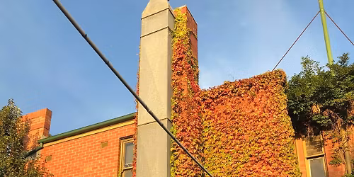 Hey Amigos! At The Kyneton Hotel