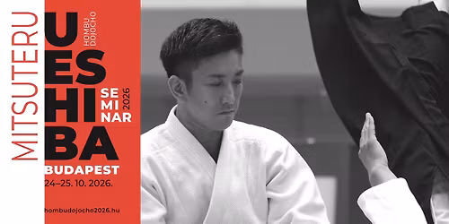 Ueshiba Mitsuteru Hombu Dojocho seminar