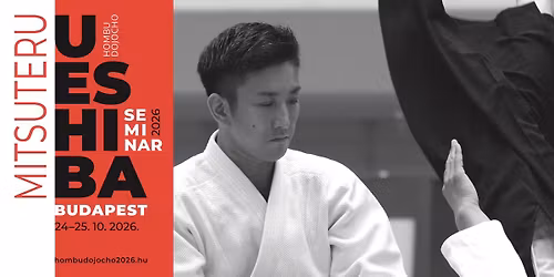 Ueshiba Mitsuteru Hombu Dojocho seminar