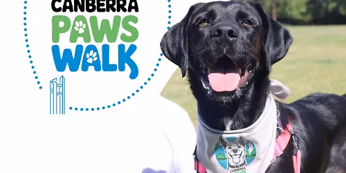 Canberra Paws Walk