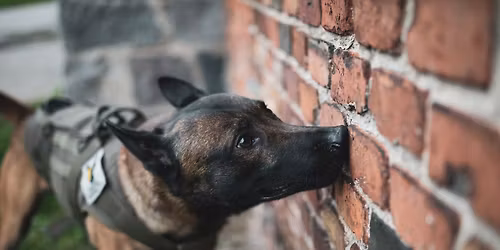 Seminarium z Dr. Lauryn DeGreeff - w przygotowaniu