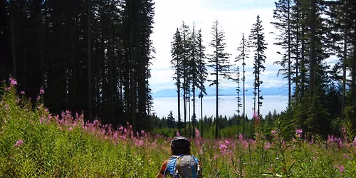 The Final Hurrah: Sunshine Coast Trail Challenge