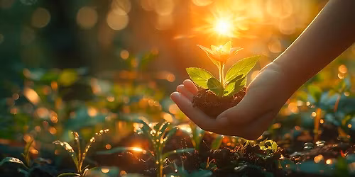 Meditation, Breathwork, Grounding and Healing Workshop