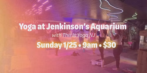 Yoga at Jenkinson's Aquarium with This Is Yoga NJ