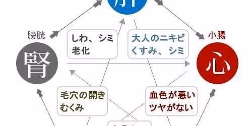 \u98df\u533b\u81b3\u00ae\uff08\u4e2d\u533b\u5b66\u30fb\u4e2d\u533b\u85ac\u81b3\u5b66\u30fb\u6f22\u65b9\uff09\u8b1b\u5ea7\u30fb\u79cb\u30009\u6708\u30b9\u30bf\u30fc\u30c8
