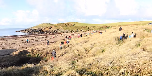 Porth Trecastell beach clean and shoreline safari