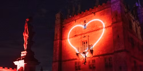 Dreamy Place X Bright Winter Nights