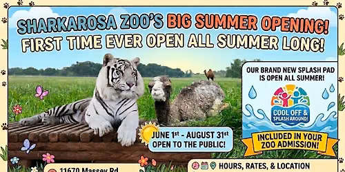 Sharkarosa Summer!