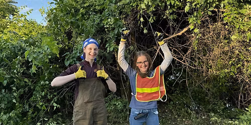 MLK Day of Service: Invasive vegetation removal near National Landing