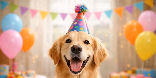 PAZ Veterinary East Open House