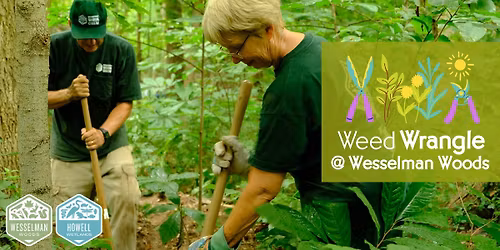 W**d Wrangle: Wesselman Woods